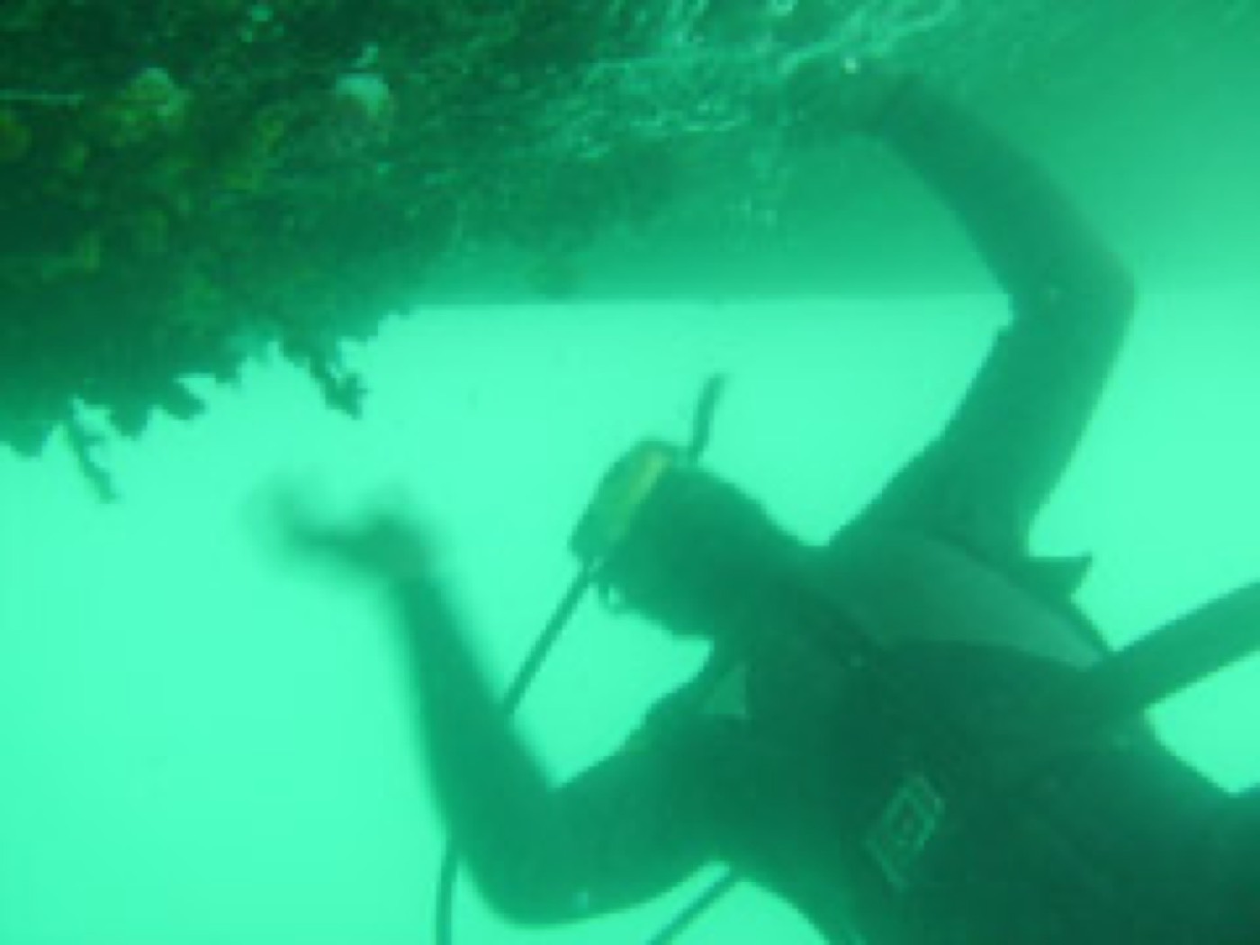 Nettoyage & carénage en mer — ETSM Nouvelle-Calédonie 3