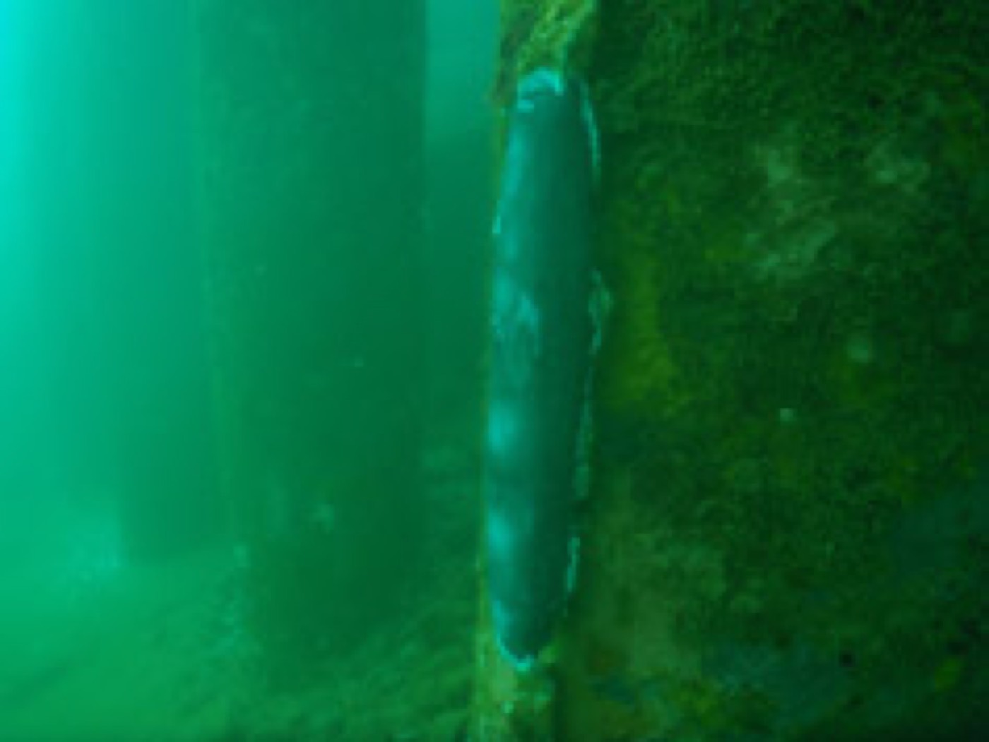 Inspection d’ouvrage d’art — ETSM Nouvelle-Calédonie 8