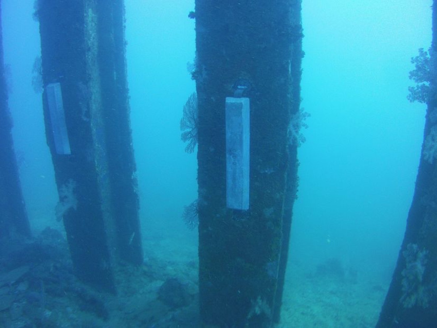 Protection cathodique — ETSM Nouvelle-Calédonie 12
