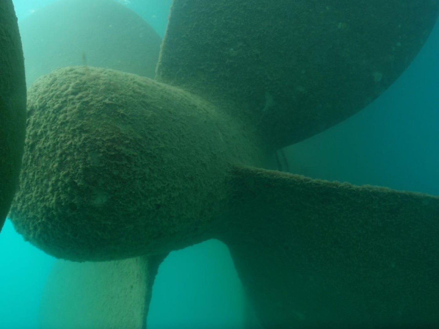 Autres interventions notables — ETSM Nouvelle-Calédonie 2